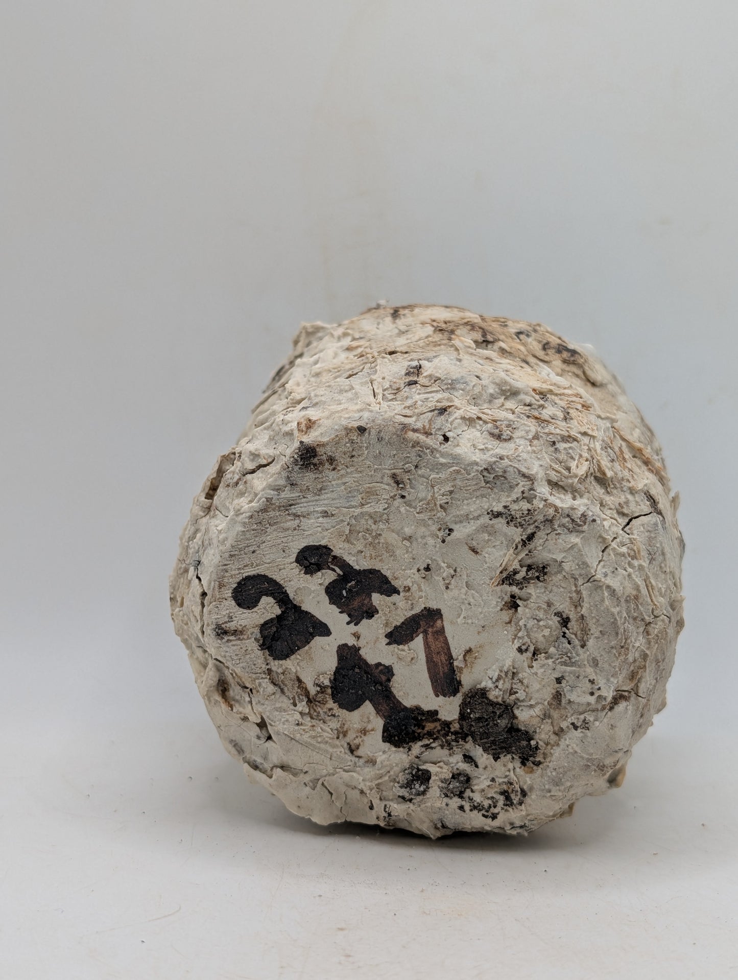 Ceramic Piece 2247