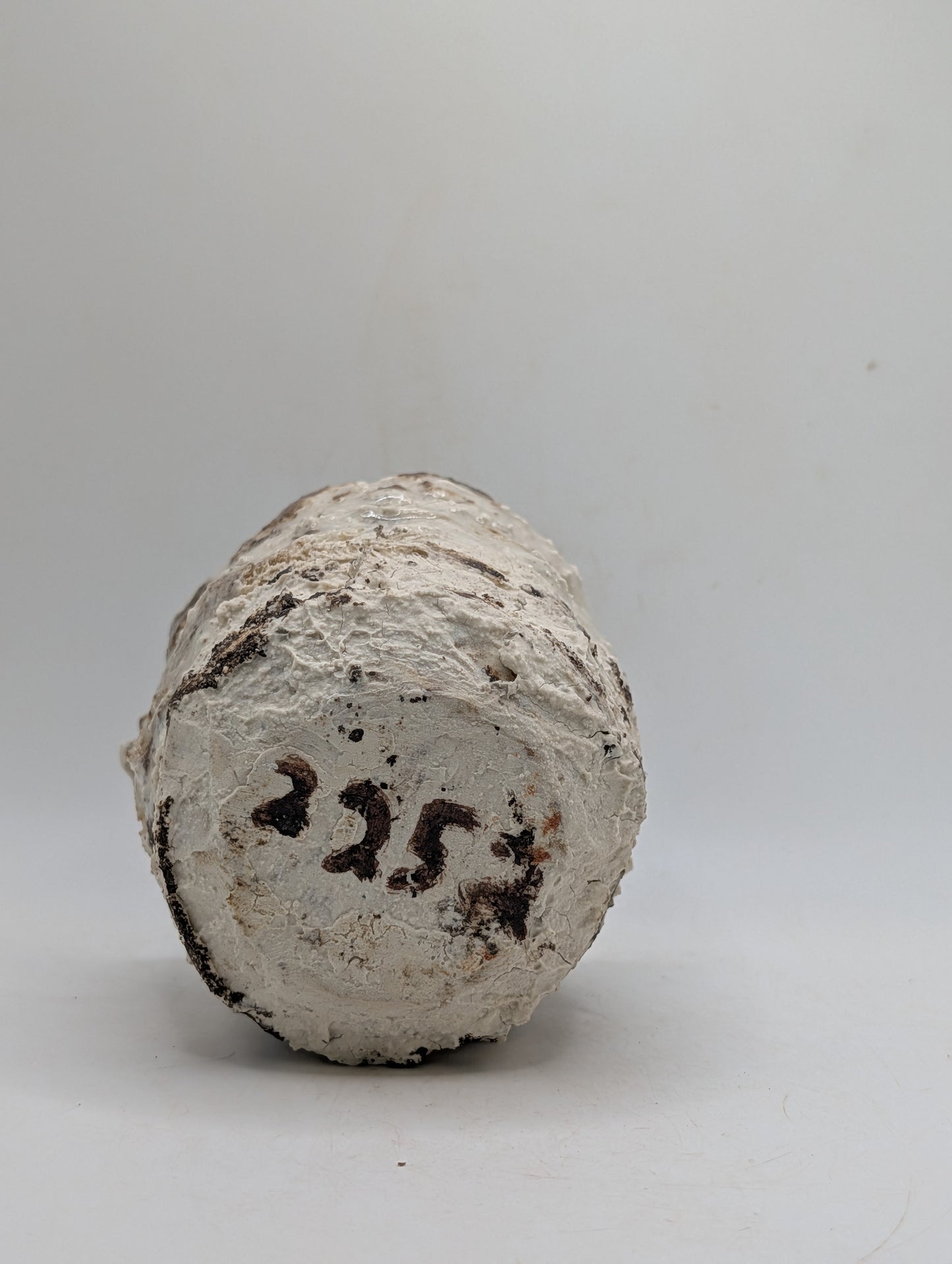 Ceramic Piece 2252
