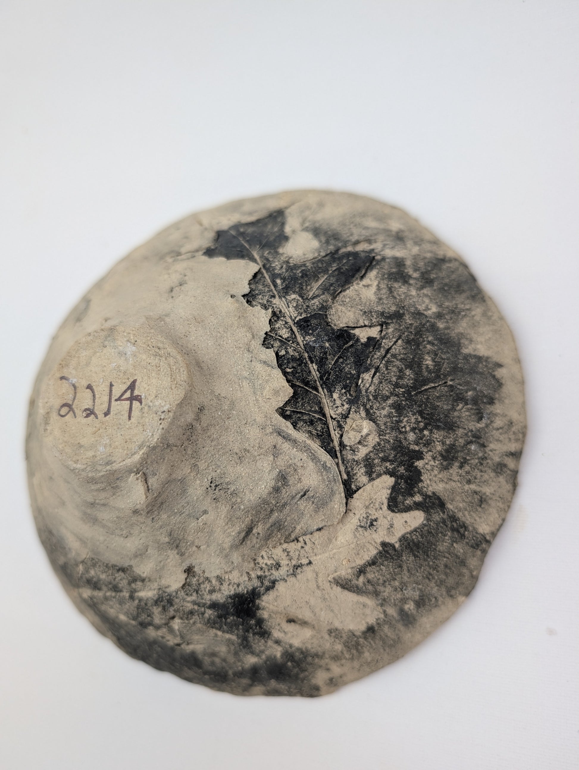 Piece 2214 — PXL_20260815_111442233.jpg [pu:a398ab2e898e]