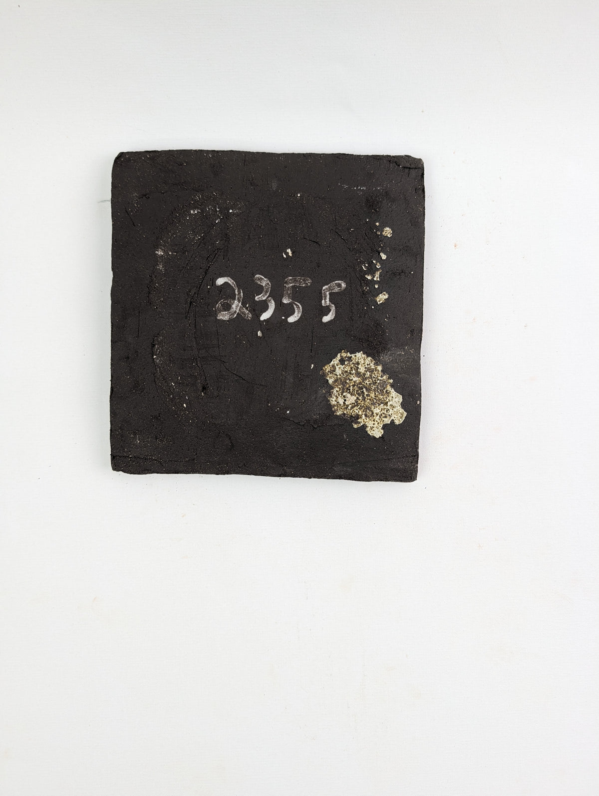 Piece 2355 — PXL_20260816_110024970.jpg [pu:f49be1e736ff]