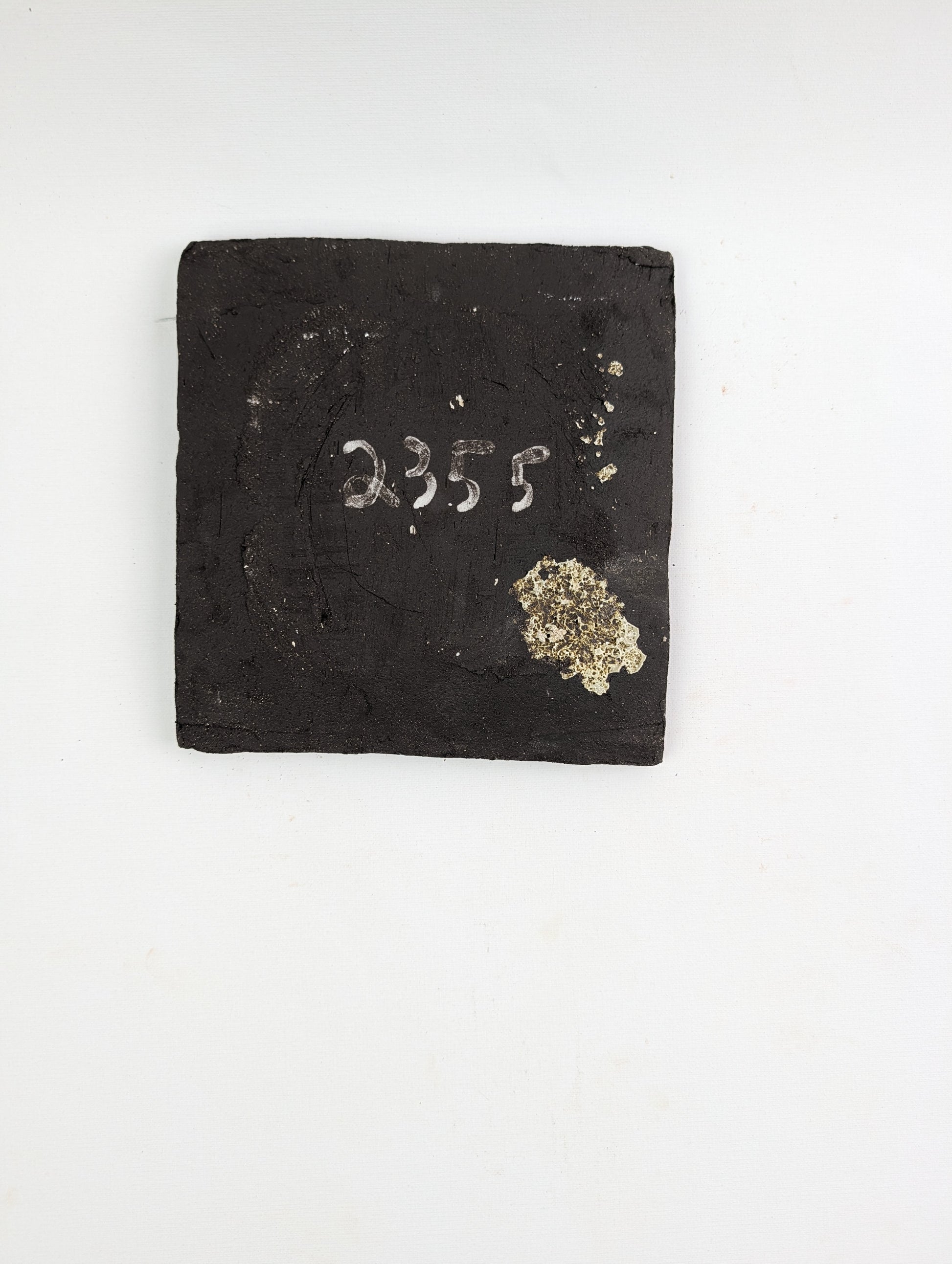 Piece 2355 — PXL_20260816_110024970.jpg [pu:f49be1e736ff]