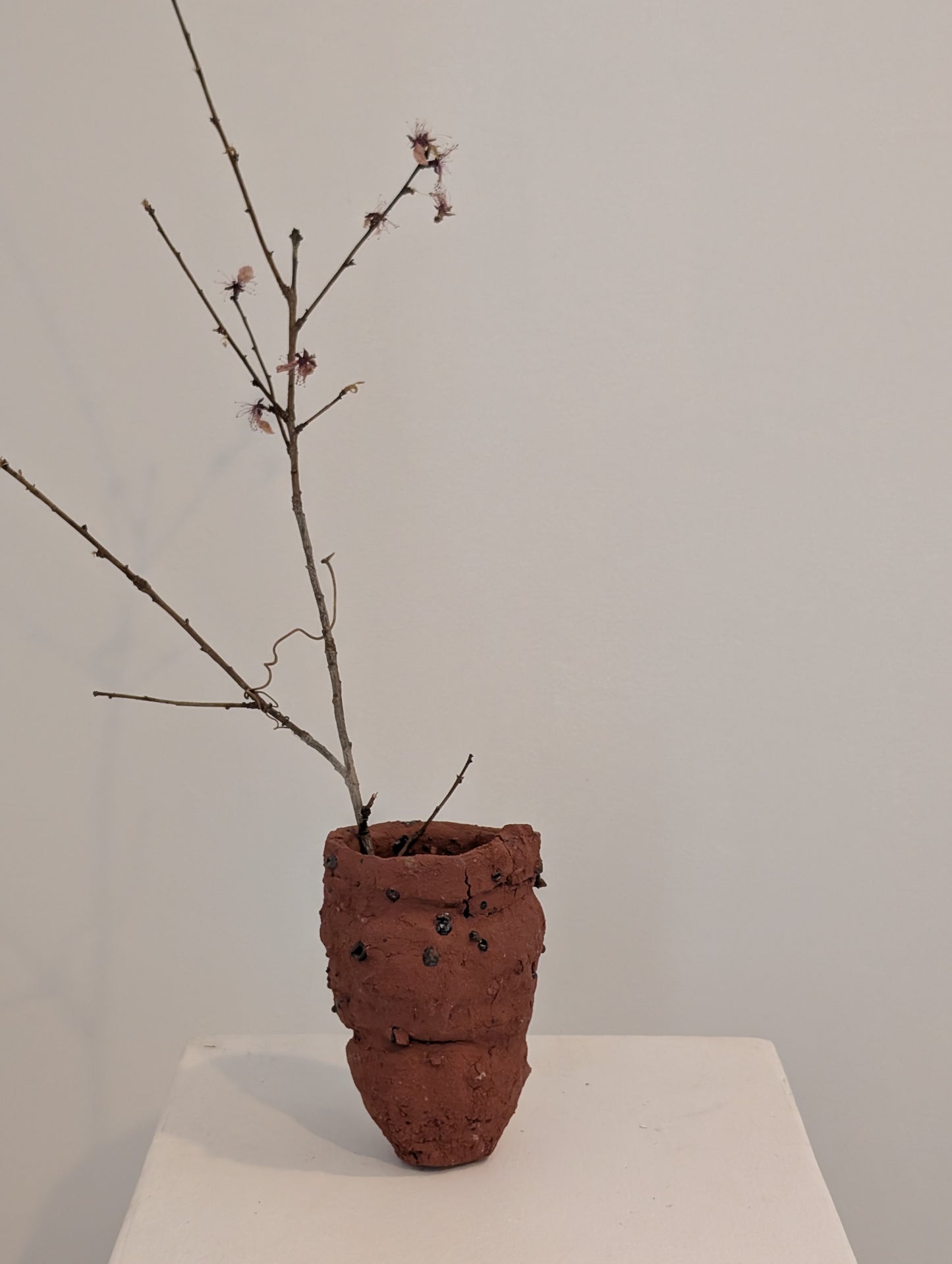 Piece 1703 – Textured Wild Clay Vessel with Lake Erie Inclusions